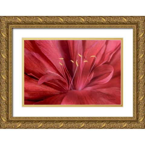 Peonia Insight I Gold Ornate Wood Framed Art Print with Double Matting by Murdock, Ramona
