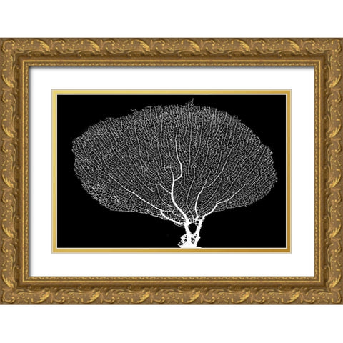 Fan Coral Drama Gold Ornate Wood Framed Art Print with Double Matting by Murdock, Ramona