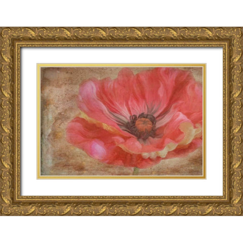 Painted Poppie Gold Ornate Wood Framed Art Print with Double Matting by Murdock, Ramona
