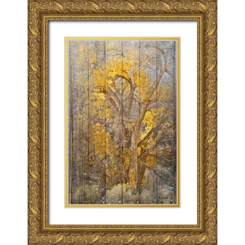 Autumn Tree Gold Ornate Wood Framed Art Print with Double Matting by Murdock, Ramona