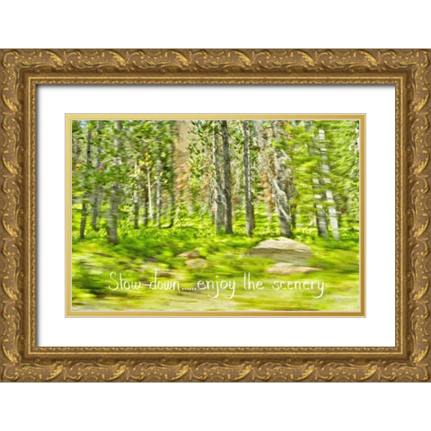 Slow Down Gold Ornate Wood Framed Art Print with Double Matting by Murdock, Ramona