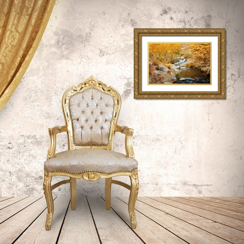Fall Creek Gold Ornate Wood Framed Art Print with Double Matting by Murdock, Ramona