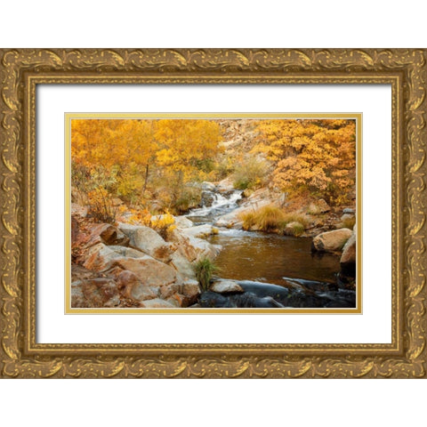 Fall Creek Gold Ornate Wood Framed Art Print with Double Matting by Murdock, Ramona