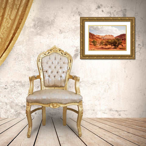 Capital Reef Utah Gold Ornate Wood Framed Art Print with Double Matting by Murdock, Ramona