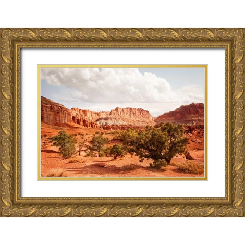 Capital Reef Utah Gold Ornate Wood Framed Art Print with Double Matting by Murdock, Ramona