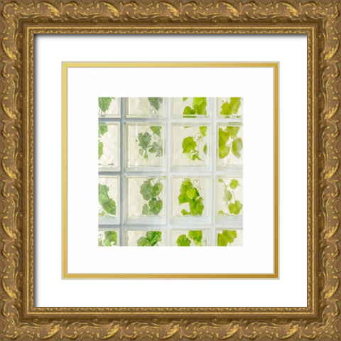 Ivy Window Gold Ornate Wood Framed Art Print with Double Matting by Murdock, Ramona