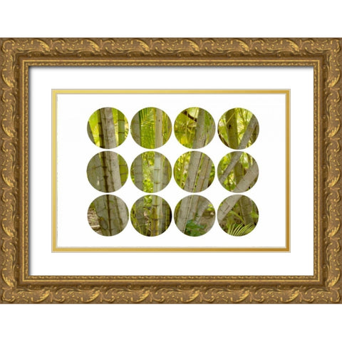 Bamboo Circles Gold Ornate Wood Framed Art Print with Double Matting by Murdock, Ramona