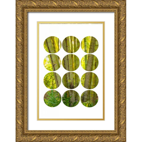 Bamboo Trees Gold Ornate Wood Framed Art Print with Double Matting by Murdock, Ramona