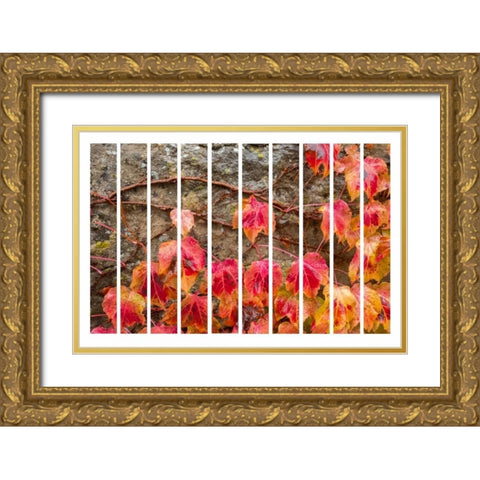 Fall Leaves Gold Ornate Wood Framed Art Print with Double Matting by Murdock, Ramona