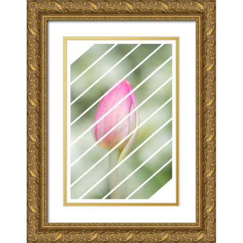 Spring Tulip Gold Ornate Wood Framed Art Print with Double Matting by Murdock, Ramona