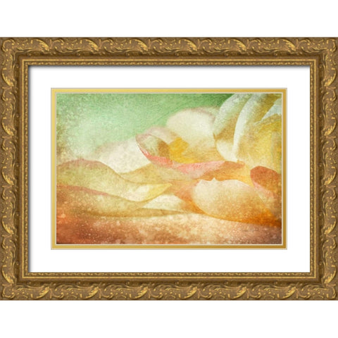 Petals Galore Gold Ornate Wood Framed Art Print with Double Matting by Murdock, Ramona