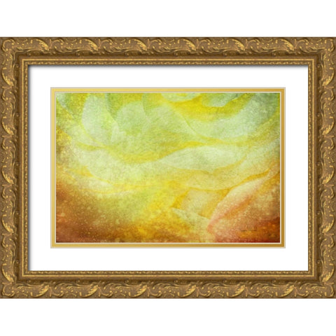 Subtle Petals Gold Ornate Wood Framed Art Print with Double Matting by Murdock, Ramona