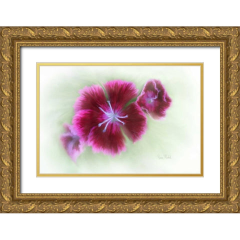 Bachelor Buttons II Gold Ornate Wood Framed Art Print with Double Matting by Murdock, Ramona