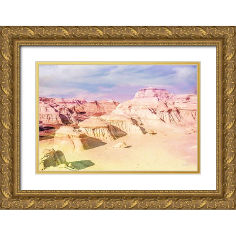 Bisti Badlands Desert Wonderland II Gold Ornate Wood Framed Art Print with Double Matting by Murdock, Ramona