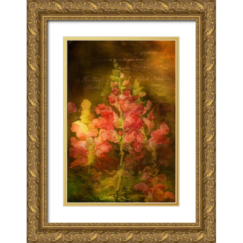 Snapdragon Twilight I Gold Ornate Wood Framed Art Print with Double Matting by Murdock, Ramona