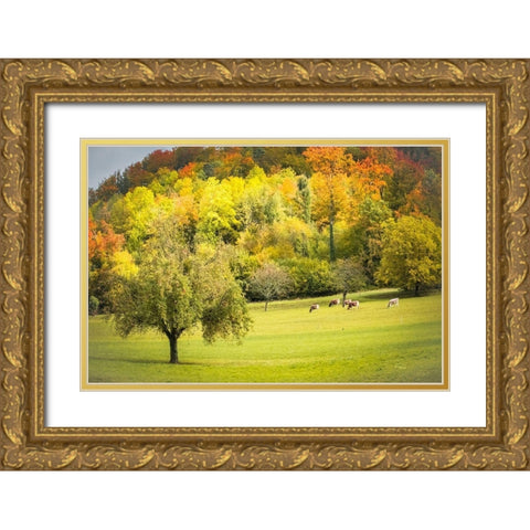 Peaceful Pasture II Gold Ornate Wood Framed Art Print with Double Matting by Murdock, Ramona