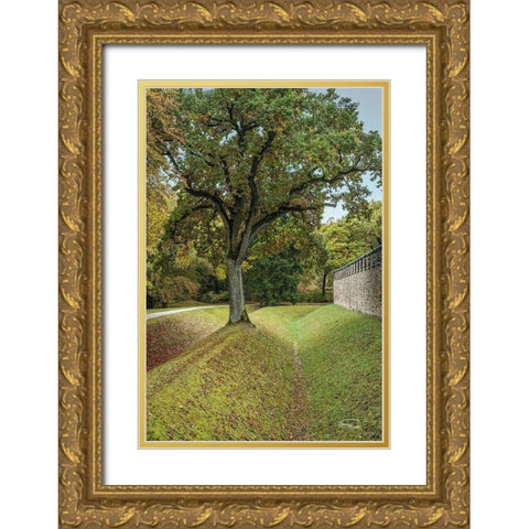 Outside the Wall I Gold Ornate Wood Framed Art Print with Double Matting by Murdock, Ramona