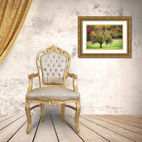 Tree in the Pasture Gold Ornate Wood Framed Art Print with Double Matting by Murdock, Ramona