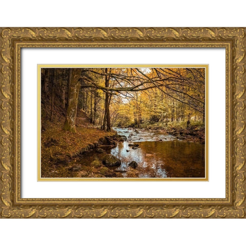 Black Forest River Gold Ornate Wood Framed Art Print with Double Matting by Murdock, Ramona