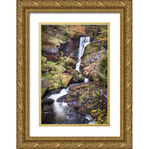Black Forest Upper Falls Gold Ornate Wood Framed Art Print with Double Matting by Murdock, Ramona