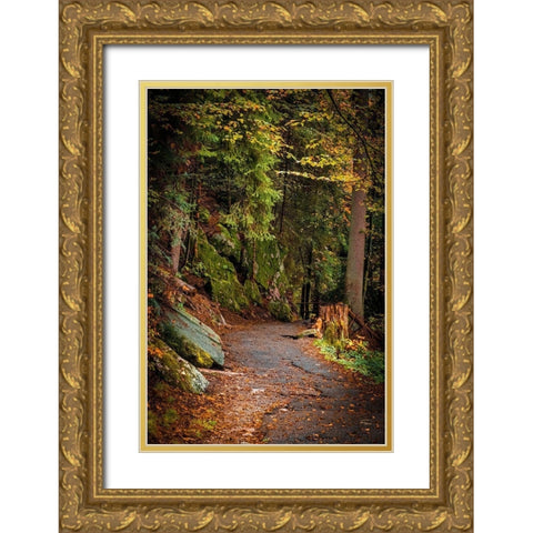 Foret Path Gold Ornate Wood Framed Art Print with Double Matting by Murdock, Ramona