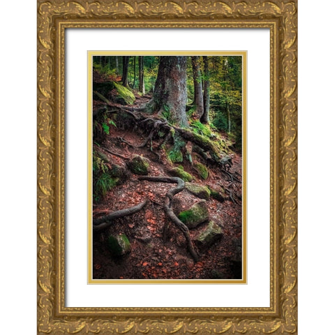 Sentinels Along Our Path Gold Ornate Wood Framed Art Print with Double Matting by Murdock, Ramona