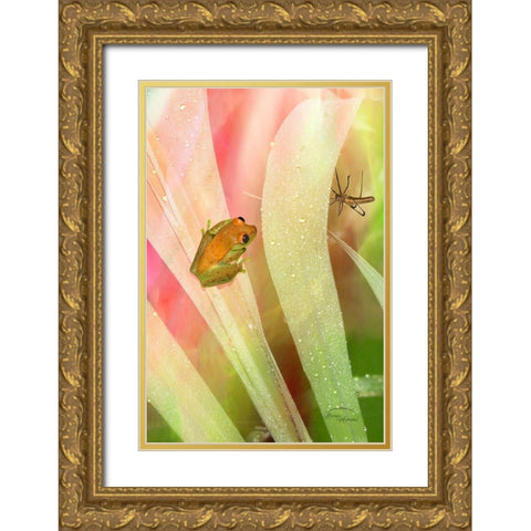Got My Eye On You Gold Ornate Wood Framed Art Print with Double Matting by Murdock, Ramona