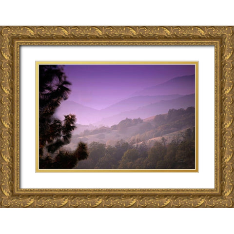 Misty Valley Gold Ornate Wood Framed Art Print with Double Matting by Murdock, Ramona