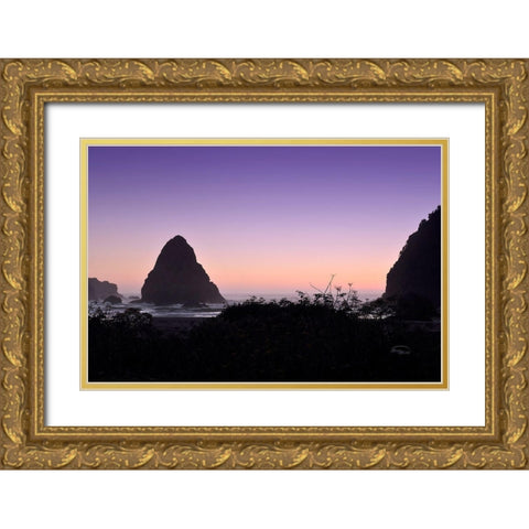 Whaleshead Beach Gold Ornate Wood Framed Art Print with Double Matting by Murdock, Ramona