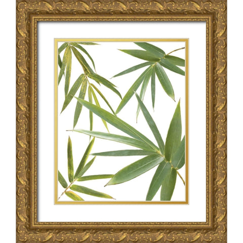 Bamboo Collage Gold Ornate Wood Framed Art Print with Double Matting by Murdock, Ramona