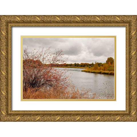 Snake River Autumn II Gold Ornate Wood Framed Art Print with Double Matting by Murdock, Ramona