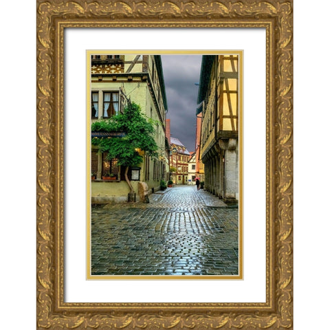 Rothenberg Rain Gold Ornate Wood Framed Art Print with Double Matting by Murdock, Ramona
