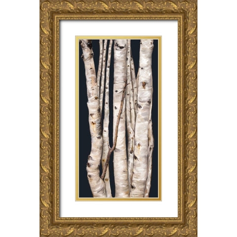 Birch Tree I Gold Ornate Wood Framed Art Print with Double Matting by Murdock, Ramona