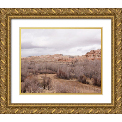 Wyoming Wilderness No. 5 Gold Ornate Wood Framed Art Print with Double Matting by Murdock, Ramona