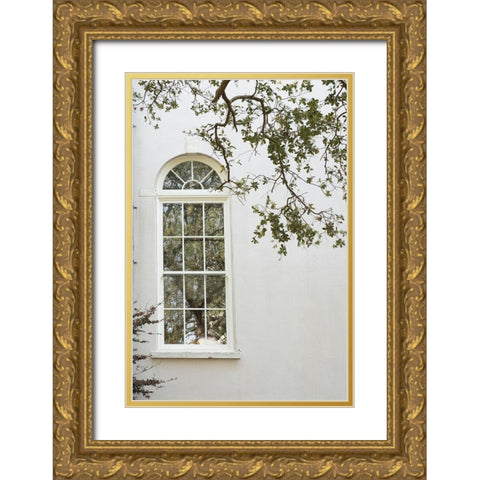 Charleston Garden Windows II Gold Ornate Wood Framed Art Print with Double Matting by Murdock, Ramona