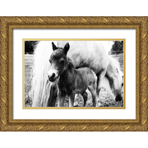 Mini Horse II Gold Ornate Wood Framed Art Print with Double Matting by Dicks, Stephanie