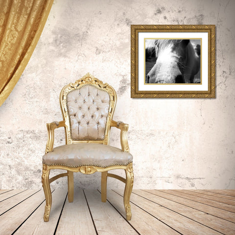 Mini Horse VIII Gold Ornate Wood Framed Art Print with Double Matting by Dicks, Stephanie