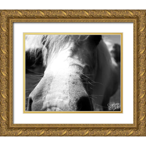 Mini Horse VIII Gold Ornate Wood Framed Art Print with Double Matting by Dicks, Stephanie