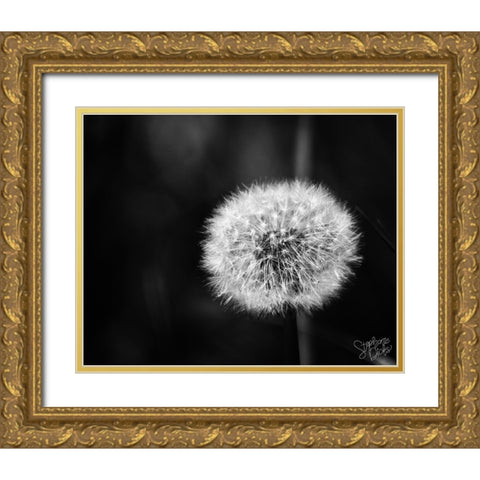 Dandelion II Gold Ornate Wood Framed Art Print with Double Matting by Dicks, Stephanie