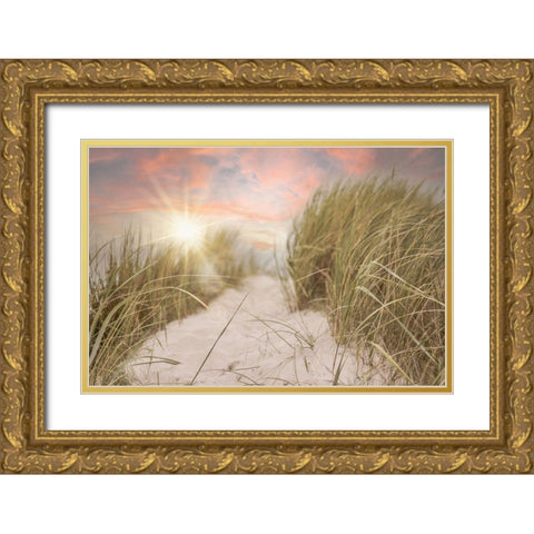 Beach Grass and Sun Gold Ornate Wood Framed Art Print with Double Matting by Moss, Tara