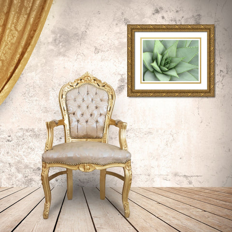 Pointed Cactus Gold Ornate Wood Framed Art Print with Double Matting by Robinson, Tamara