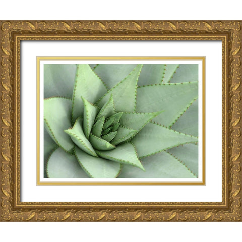 Pointed Cactus Gold Ornate Wood Framed Art Print with Double Matting by Robinson, Tamara