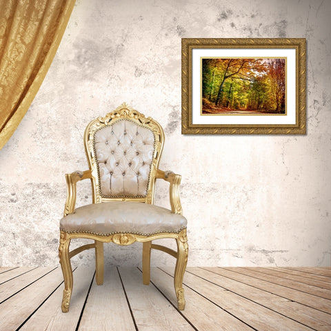 Autumn Pathway Gold Ornate Wood Framed Art Print with Double Matting by Dundon, Denise