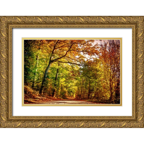 Autumn Pathway Gold Ornate Wood Framed Art Print with Double Matting by Dundon, Denise