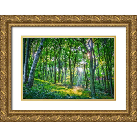 Emerald Forest Gold Ornate Wood Framed Art Print with Double Matting by Dundon, Denise