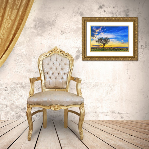 Solitary Sunset Gold Ornate Wood Framed Art Print with Double Matting by Dundon, Denise