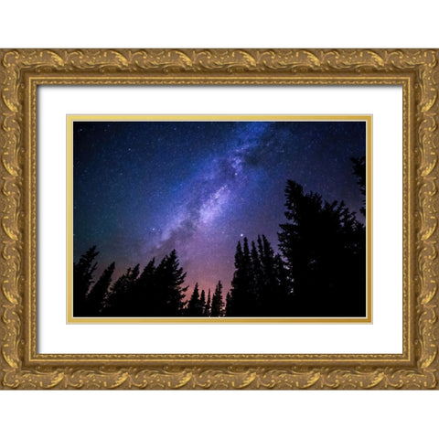 Conifers and Milky Way Gold Ornate Wood Framed Art Print with Double Matting by Dundon, Denise