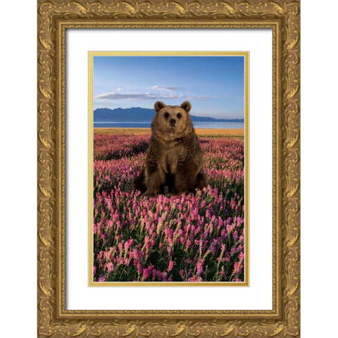 Bear in the Fields Gold Ornate Wood Framed Art Print with Double Matting by Burney, Yvonne Coleman