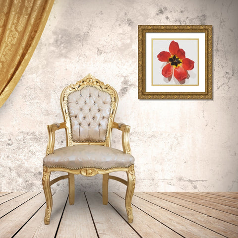 Red Gold Ornate Wood Framed Art Print with Double Matting by Yellow Cafe
