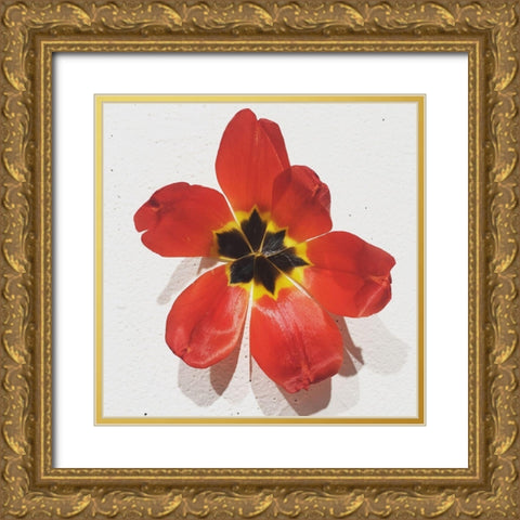Red Gold Ornate Wood Framed Art Print with Double Matting by Yellow Cafe